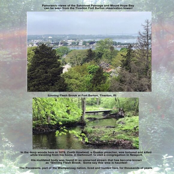 Meet your Posher, Jacqueline - Picture 5 of 12